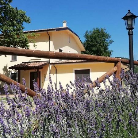 Agriturismo Acquafredda Villa Mormanno Dış mekan fotoğraf