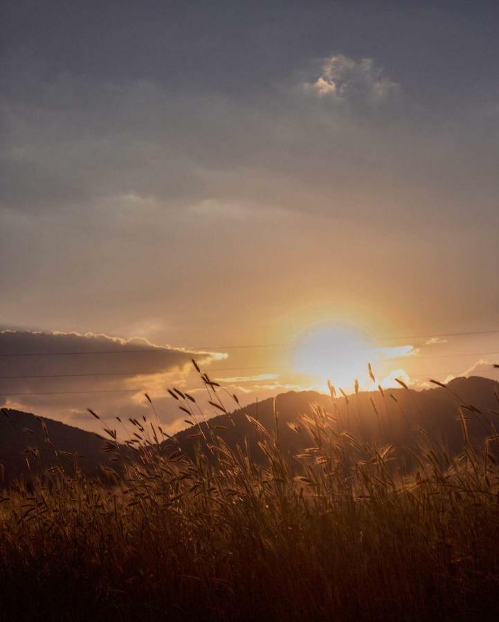Agriturismo Acquafredda Villa Mormanno Dış mekan fotoğraf