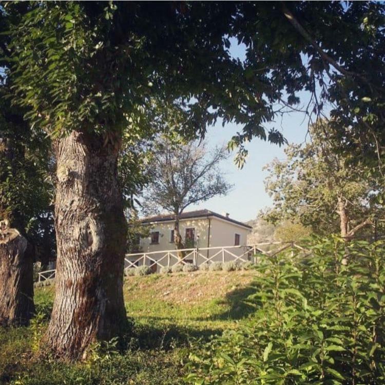 Agriturismo Acquafredda Villa Mormanno Dış mekan fotoğraf
